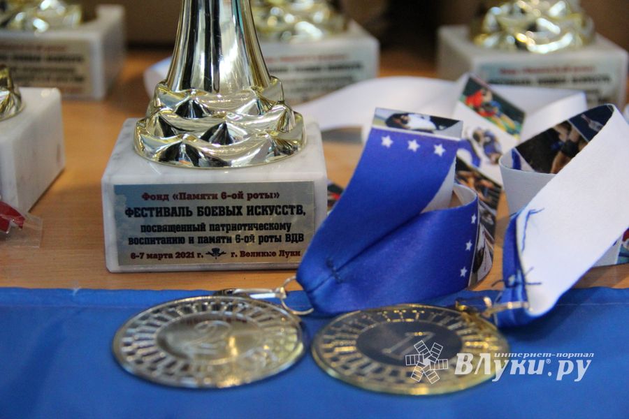 Фестиваль боевых искусств прошел в Великих Луках (ФОТО)