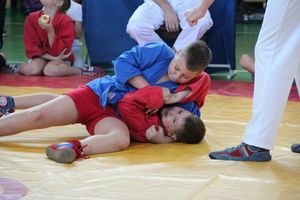 Фестиваль боевых искусств прошел в Великих Луках (ФОТО)