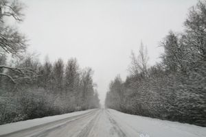 © ВЛуки.ру