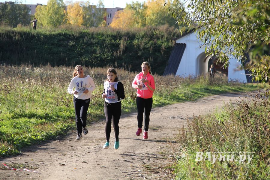 Легкоатлетический осенний кросс прошел в Великих Луках (фоторепортаж)