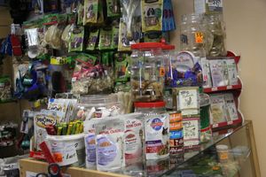 «Zooбастики»: подарите праздник своим любимцам! (ФОТО+ВИДЕО)