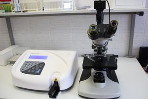 А вы задумались о здоровье своего сердца? (ФОТО + ВИДЕО)