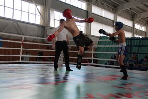 В Великих Луках прошел Кубок области по кикбоксингу (ФОТО)