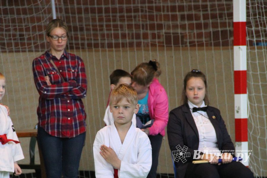 Великолучане стали победителями турнира по каратэ «Неприкосновенный запас, дети — Отчизны 2015» (фото)