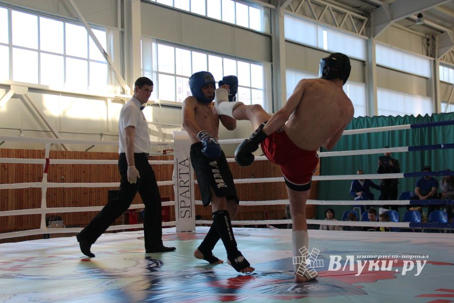В Великих Луках прошел Кубок области по кикбоксингу (ФОТО)