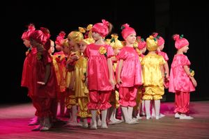 В Великих Луках отметили День матери (фото)