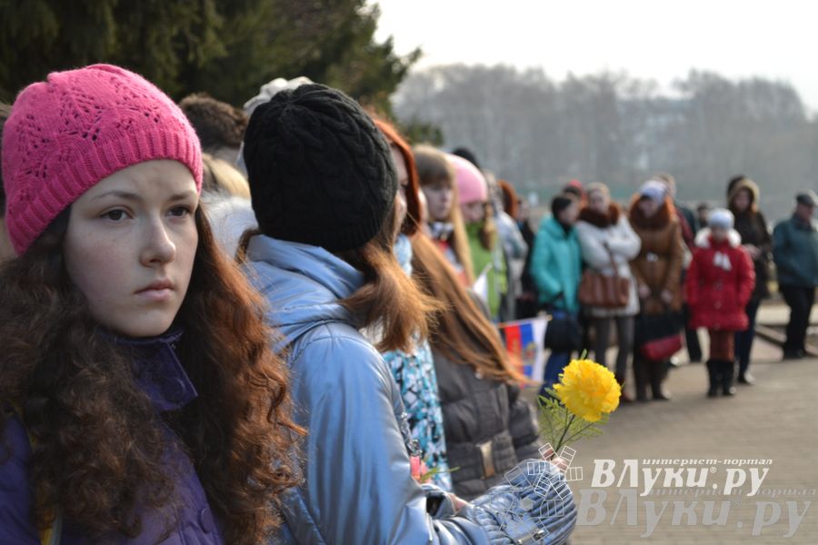 День защитника отечества в Великих Луках отметили памятным митингом и салютом