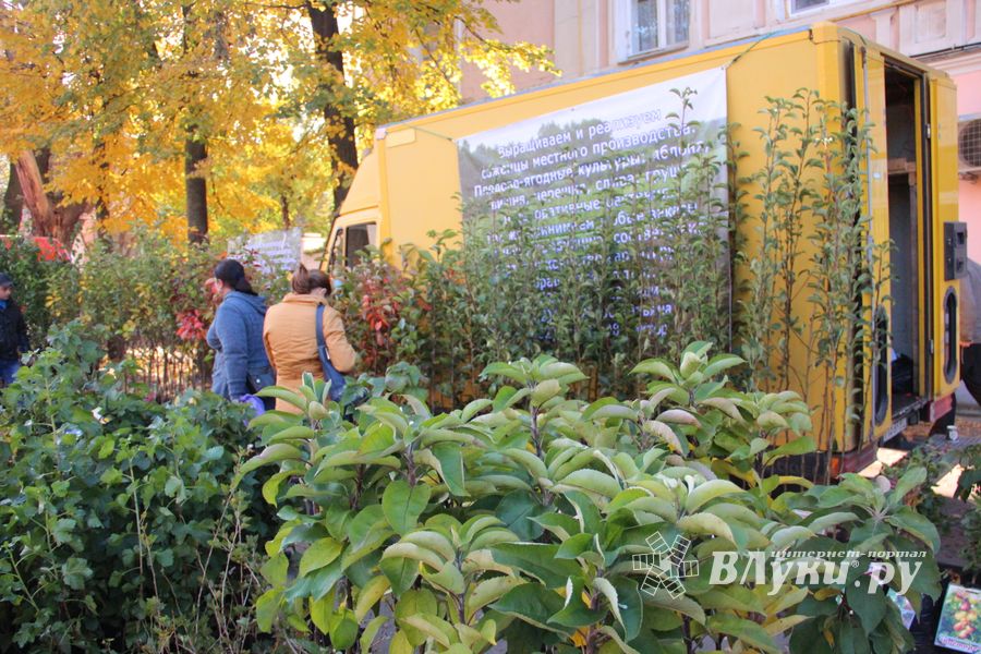 Торговая ярмарка «Осень-2016» прошла в Великих Луках (ФОТО)