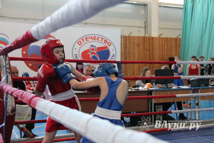 Фестиваль боевых искусств прошел в Великих Луках (ФОТО)