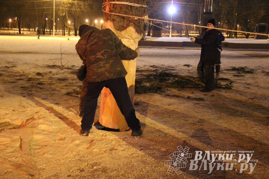 В Великих Луках установили новогоднюю елку (фото)