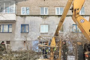 На Нелидовском проезде «омолаживают» тополя (ФОТО)