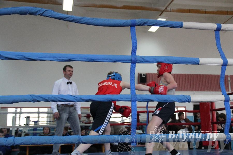 Открытое Первенство города по боксу