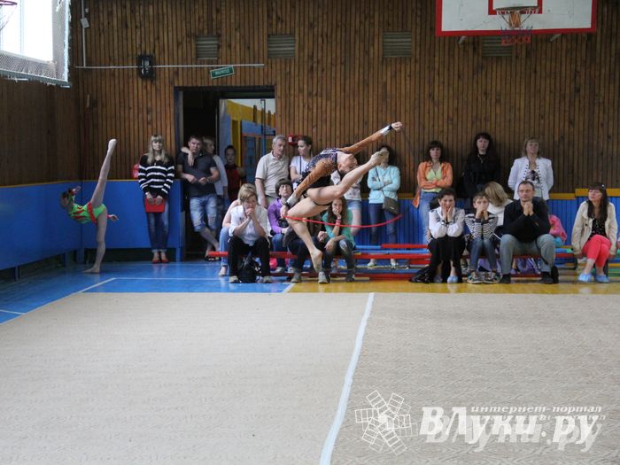 В Великих Луках прошло Первенство по художественной гимнастике (фото)