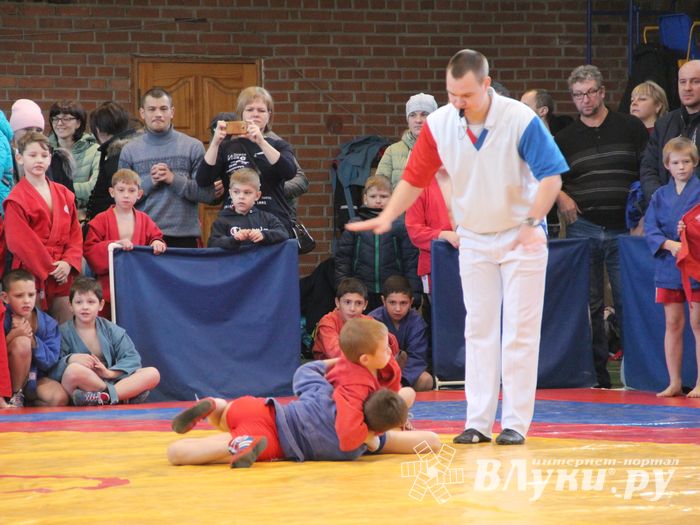Великолучане завоевали награды турнира по самбо «Память» (ФОТО)