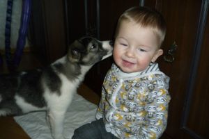 Объявляем победителей фотоконкурса «Косточка к Новому году» (ФОТО)