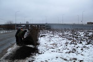 Назначена дата открытия путепровода в Великих Луках (ФОТО)