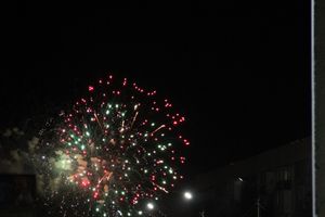 ​Праздничным концертом и салютом завершились празднования Дня Победы в Великих Луках (фото)