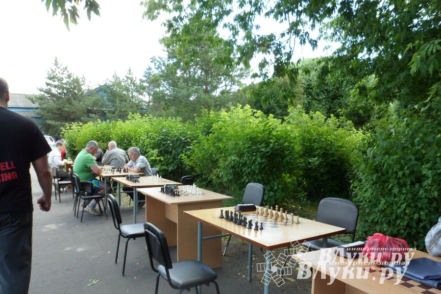 В Великих Луках прошел Всероссийский олимпийский день (фото)