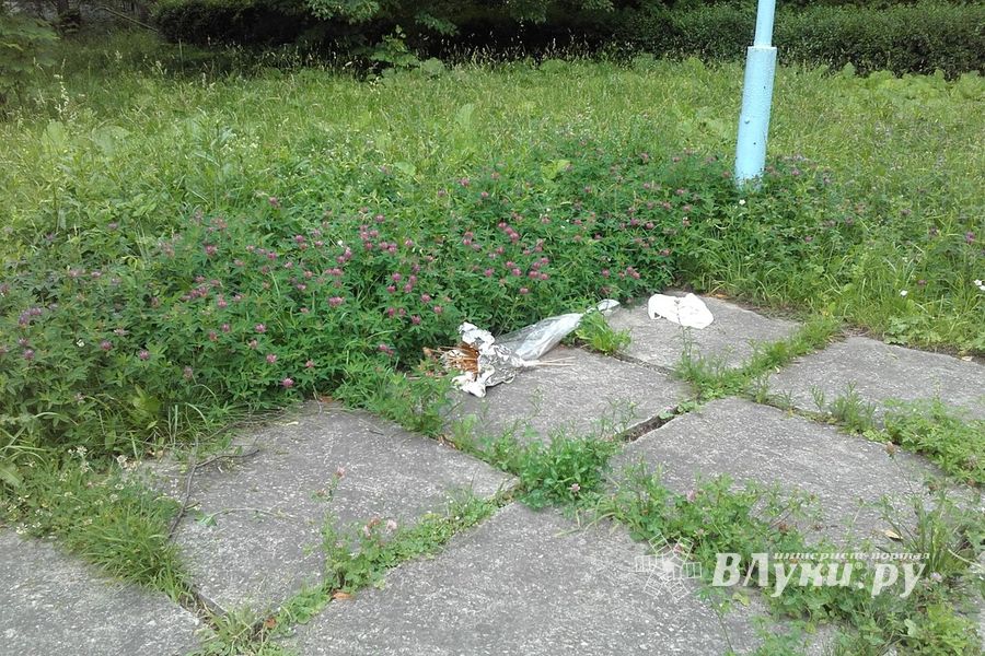 В Великих Луках не потрудились скосить траву возле мемориала (ФОТО)