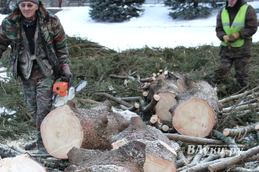 Главная городская ёлка отправилась на свалку (ФОТО)