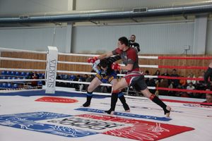 Открытый кубок по смешанному боевому единоборству ММА прошел в Великих Луках (ФОТО)