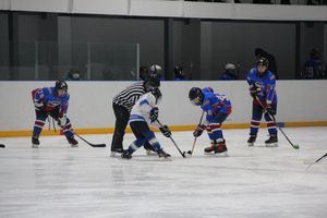 В Великих Луках прошел детский Открытый турнир по хоккею (ФОТО)