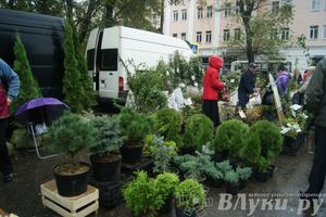 ​Универсальная торговая ярмарка «Осень – 2014» состоялась  в Великих Луках