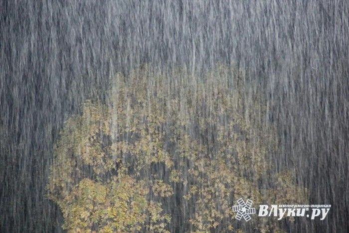 ВЛуки.ру