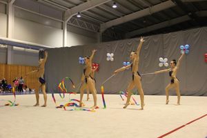 В Великих Луках прошли соревнования на Кубок Псковской области по художественной гимнастике (ФОТО)