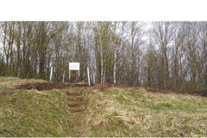 Приводили в порядок памятник — едва не сожгли дом, жалуется жительница Великолукского района (ФОТО)