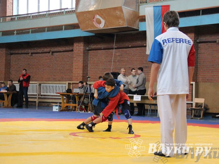 Состоялось Открытое первенство города Великие Луки по борьбе самбо