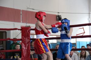 В Великих Луках прошло Первенство города по боксу (ФОТО)