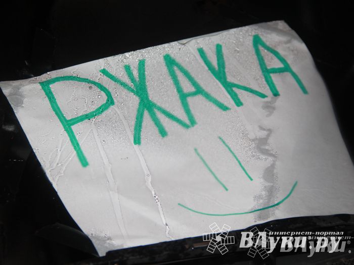 В Великих Луках состоялась презентационная игра «Дозор» (фото)