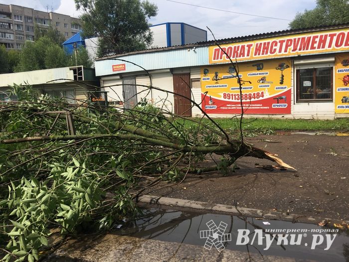Гроза в Великих Луках не прошла бесследно (ФОТО)