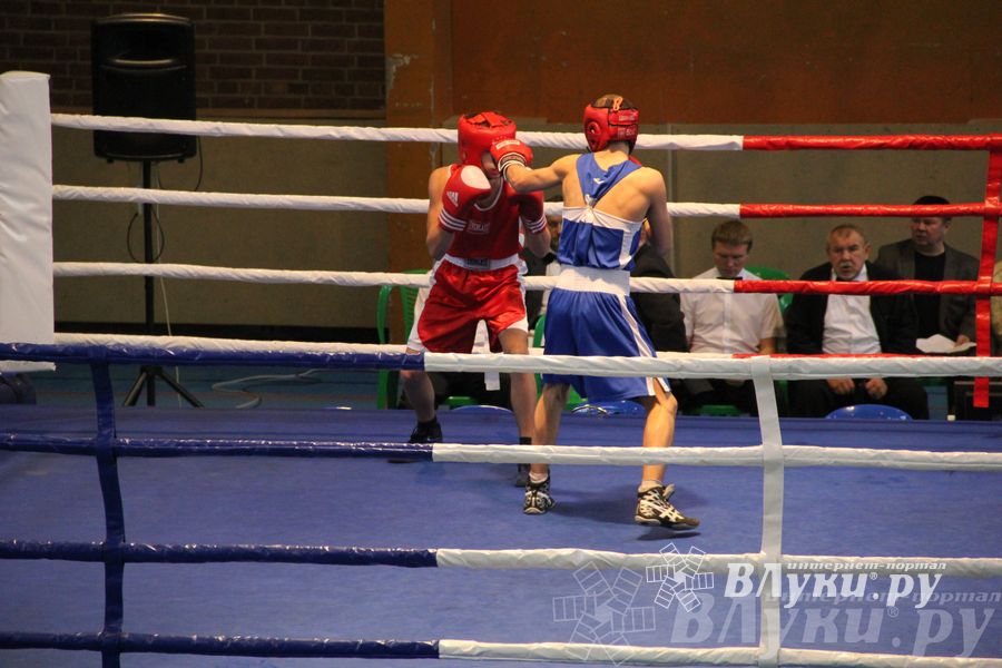 16-й Международный турнир по боксу (фото)