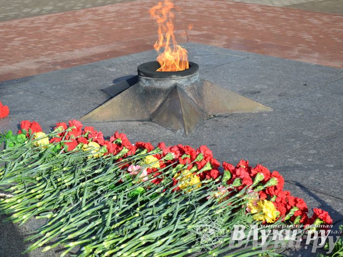 День защитника отечества в Великих Луках отметили памятным митингом и салютом