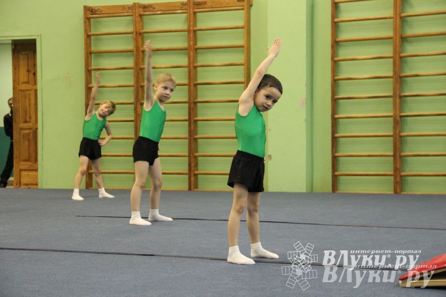 В Великих Луках состоялось Первенство по командной гимнастике (фото)