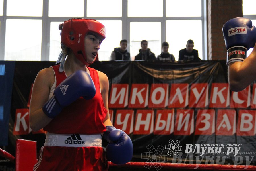 16-й Международный турнир по боксу (фото)