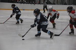 Товарищескике хоккейные игры между детскими командами прошли в Великих Луках (ФОТО)