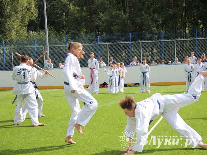 День спорта в День города: сила, мужество и грация (ФОТО)