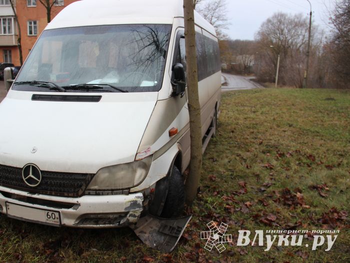 На улице Пушкина водитель врезался в дерево (ФОТО)