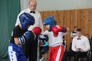 В Великих Луках проходит Кубок по кикбоксингу (ФОТО) (0+)