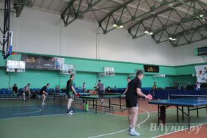 Настольный теннис. Лучший из великолучан лишь шестой