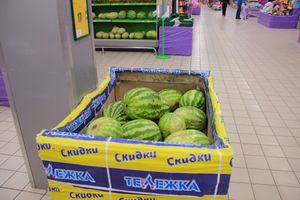 В Великих Луках проверили бахчевые (ФОТО)