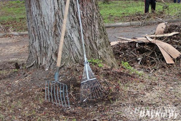 С 1 октября в Великих Луках начнется месячник по благоустройству