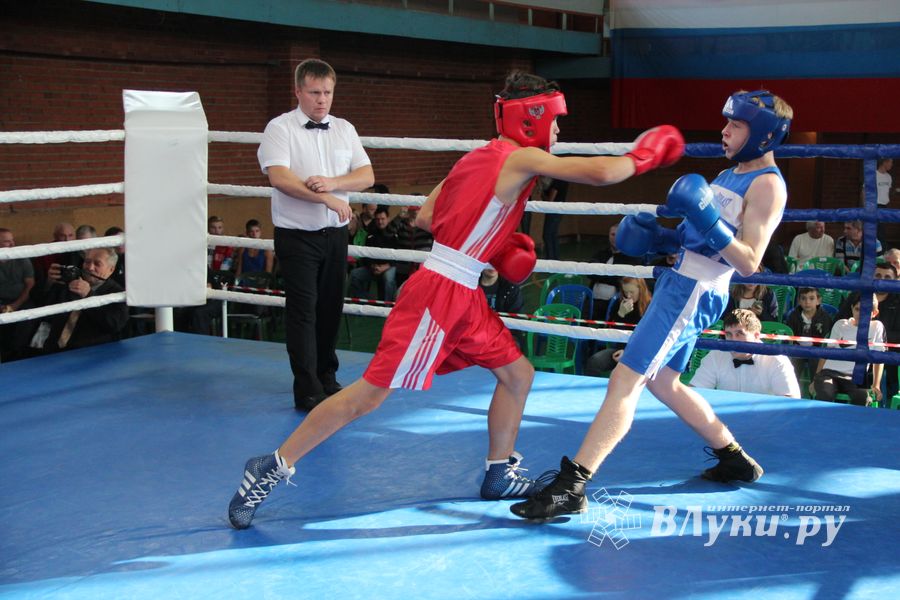 В Великих Луках прошел турнир по боксу памяти Е. Клевцова (ФОТО)