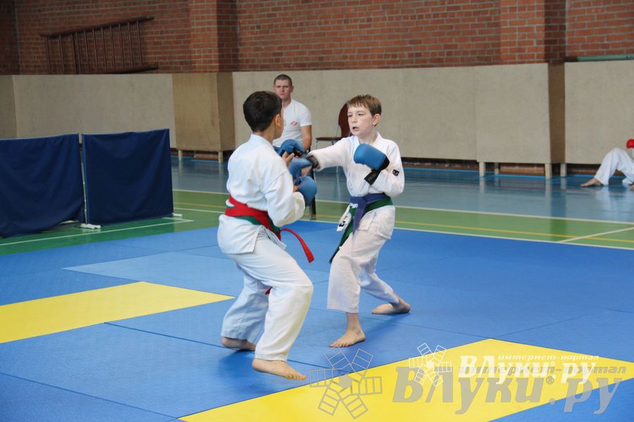 Турнир по каратэ «Неприкосновенный запас — дети Отчизны»