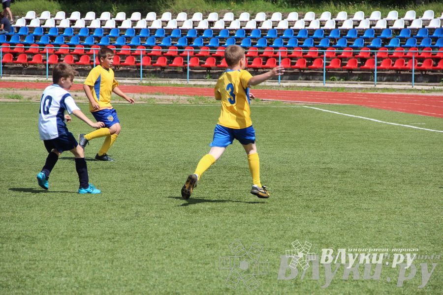 «Локобол-2013» в Великих Луках