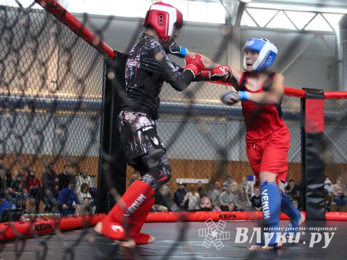 В Великих Луках прошел кубок по смешанному боевому единоборству (ФОТО)