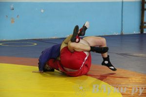 Всероссийский турнир по самбо